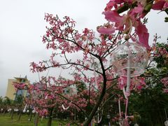 -广州花之恋城堡酒店