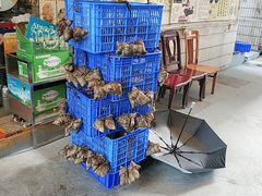 -华哥新鲜猪精品美食