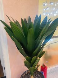 点击看大图 -头道汤·茜曼缇娜