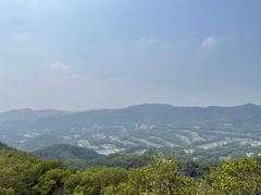 -大屏嶂森林公园