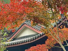 -十八棵（老龙井）御茶园(老龙井店)