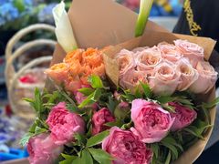 -曲阳花鸟市场(曲阳路店)
