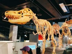 -墨尔本博物馆(Melbourne Museum)