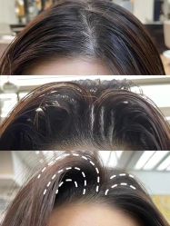 -时尚殿堂salon