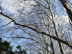 -雨花台烈士纪念馆