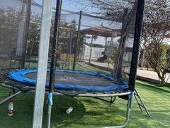 -小鱼草莓采摘园农家乐·小鱼餐厅