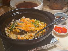 -陶陶居酒家(SM二期购物广场店)