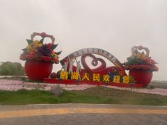 -鹅湖玫瑰文化园