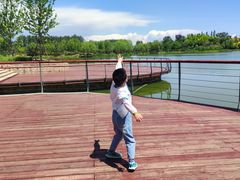 -东郊湿地公园