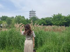 -Supine Bistro溯泮餐厅