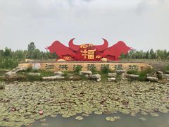 -泗洪洪泽湖湿地景区