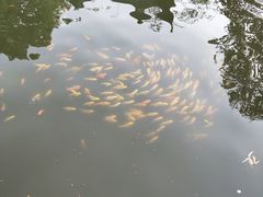 -北湖公园