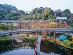 -福道