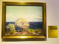 -印象莫奈时光映迹艺术展