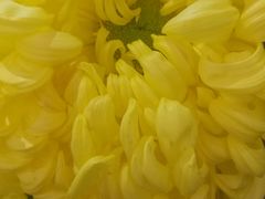 -小榄公饭店(西区彩虹店)