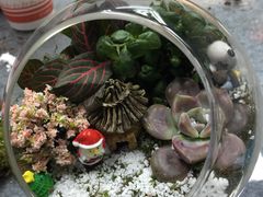 -清岚画室少儿美术培训(平江校区)