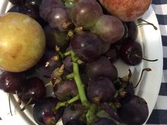 皇家太平洋酒店-香港皇家太平洋酒店