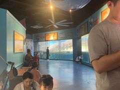 -海合安武汉极地海洋公园