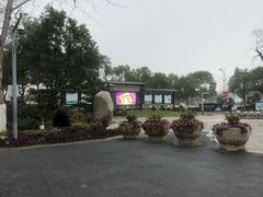 -合肥滨湖国家森林公园