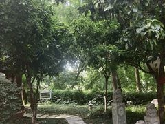 -花锦堂·隐庐