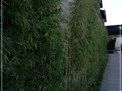 -禾悦庄餐厅