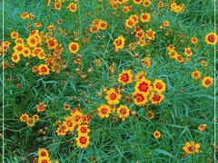 -长春公园(普阳街道)