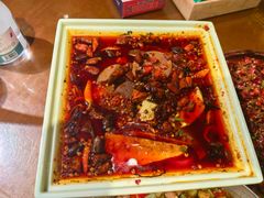 -杨记隆府(重庆总店)