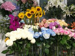 -FEI FEI FLOWER鲜花店·气球派对·宝宝宴布置(虹口德必运动Loft店)
