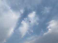 -汉长安城未央宫国家考古遗址公园