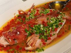 -皇朝会.经典传统粤菜(外滩店)