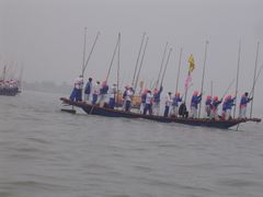 -溱湖国家湿地公园