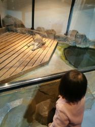 -未来动物城动物主题公园(大悦城店)