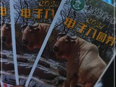 -秦皇岛野生动物园