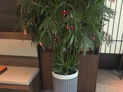 -俏东方·海味水饺·青岛菜(崂山店)