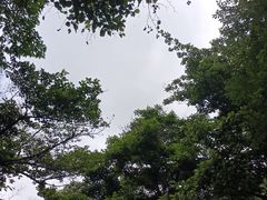 -崂山九水游览区