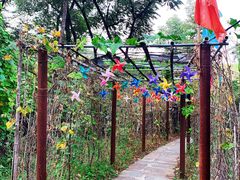 -南窖乡水峪村山情农家