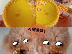 招牌64层蛋挞-勿理堂(西村店)