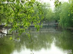 -东湖落雁景区