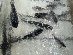 -姥家大锅台水库渔家