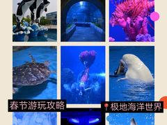-石家庄极地海洋世界