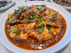 -全乐鱼馆·淳牌有机鱼直营店