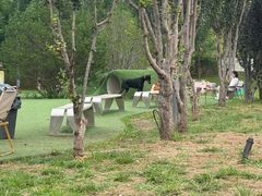 -爪吧宠物乐园 (温榆河示范区店)