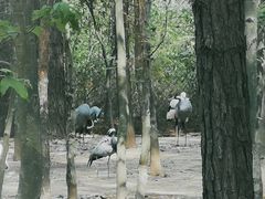 -象山森林公园
