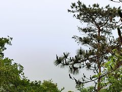 -巢湖姥山岛