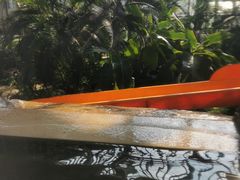 -中家鑫园温泉酒店鑫悦汤泉