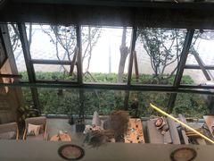 -了不起的考拉咖啡店(高新店)