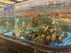 -东海怡品海鲜豆捞(舟宿夜江店)