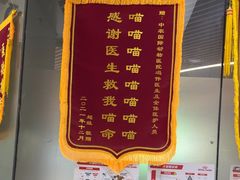 -中农国际动物医院24小时·猫科·骨科·急重症中心