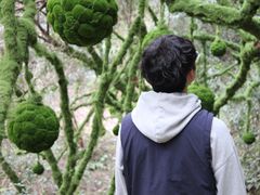 -龙湾潭国家森林公园