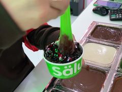 冻酸奶-Salud撒露欧洲冻酸奶(五道口购物中心店)